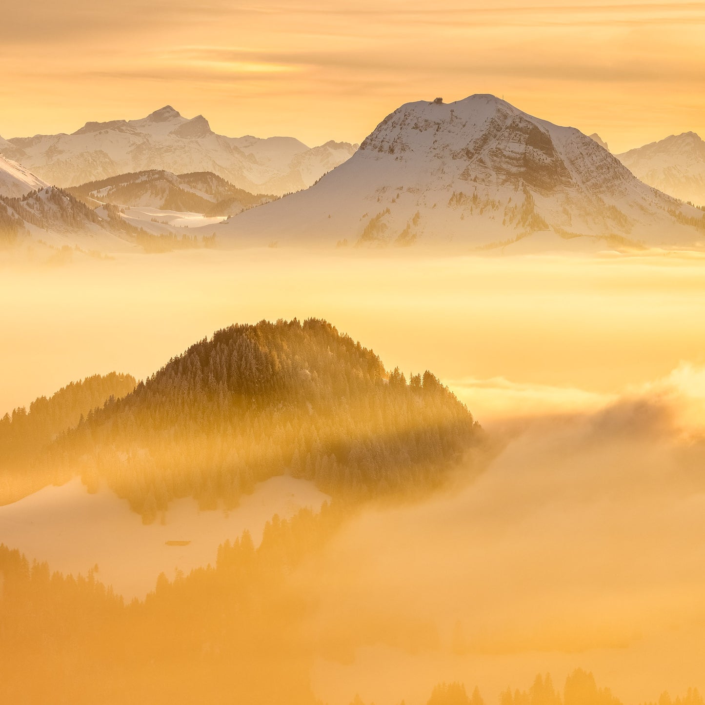 GOLDEN HAZE - DISPONIBLE PROCHAINEMENT