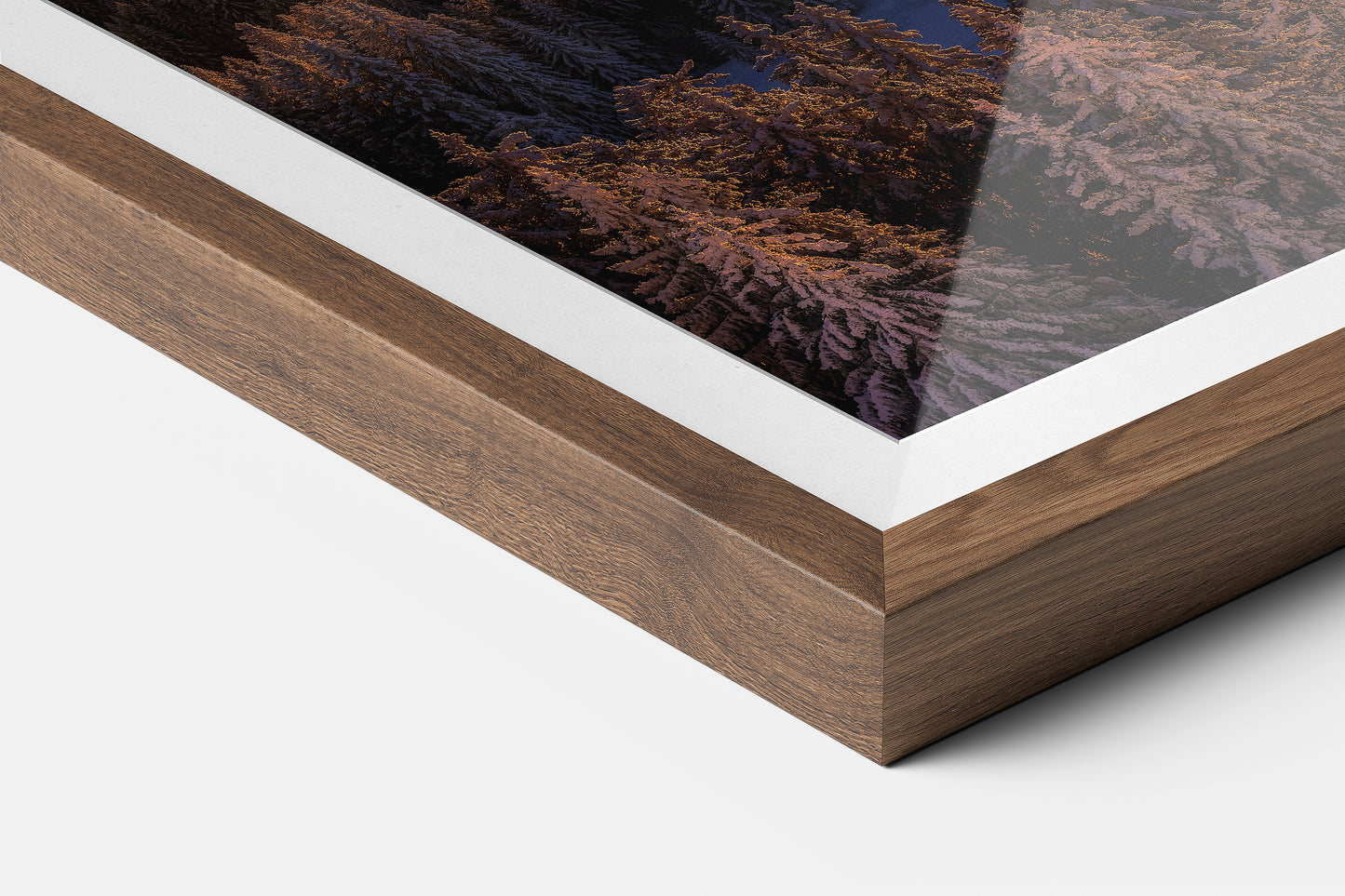 GOLDEN HAZE - COMING SOON