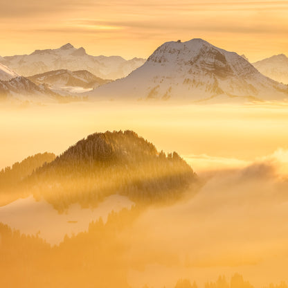 GOLDEN HAZE - COMING SOON