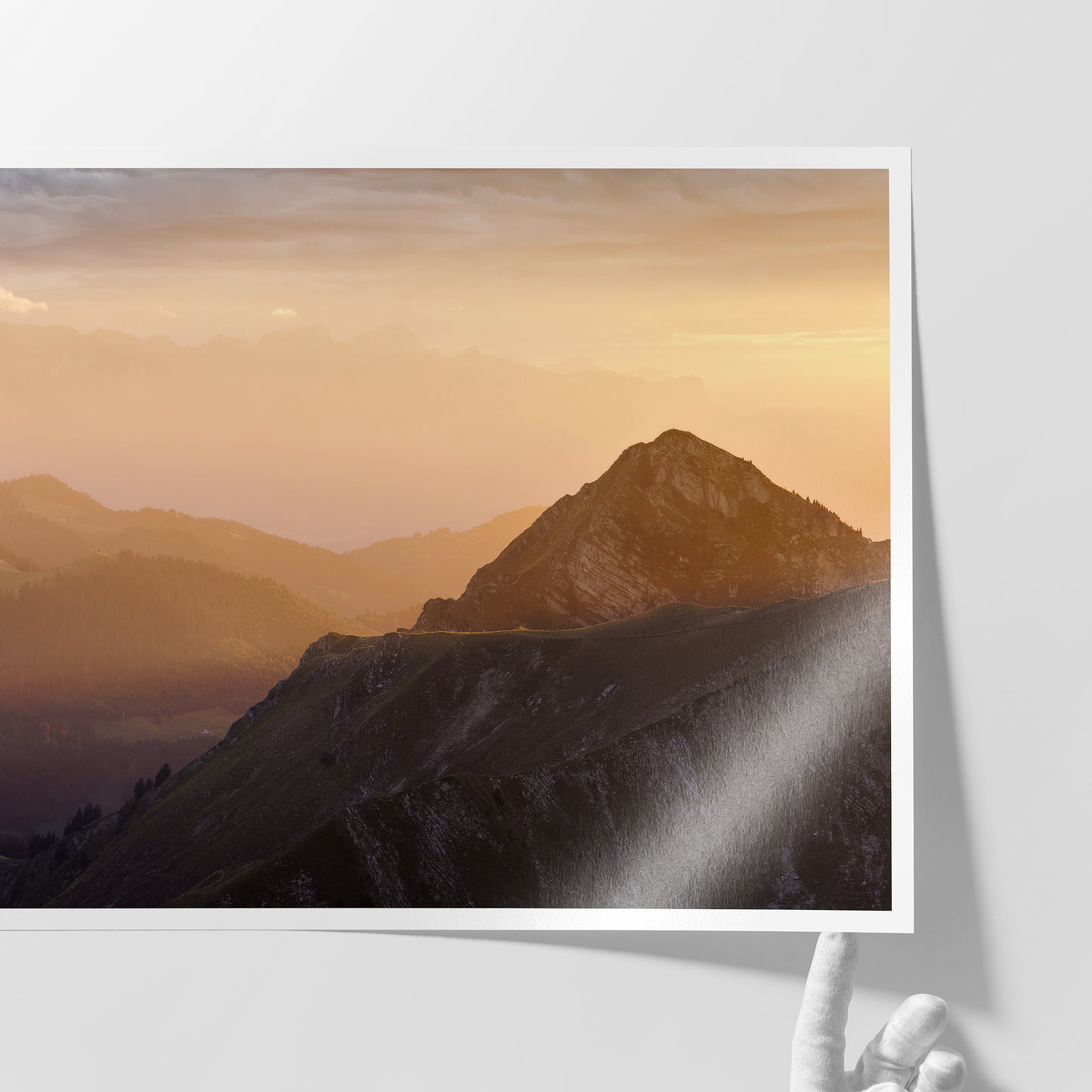 HILLS OF GOLD - COMING SOON