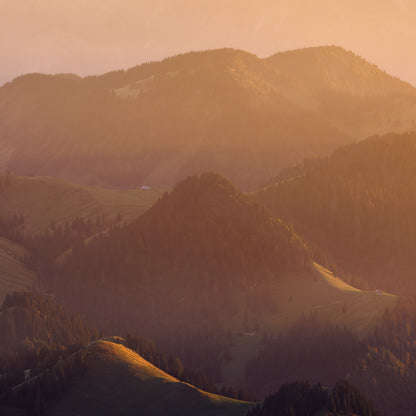 HILLS OF GOLD - COMING SOON